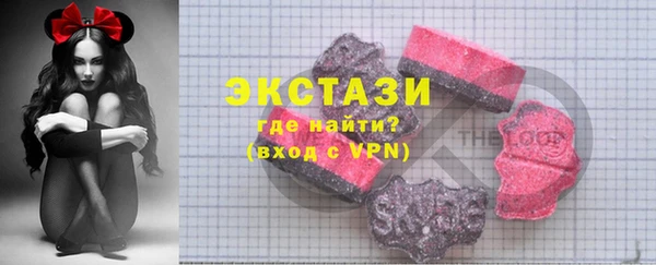 тгк Ельня