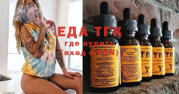 тгк Ельня