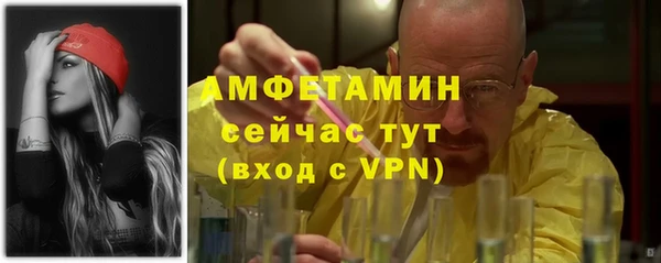 тгк Ельня