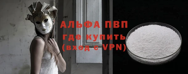 тгк Ельня