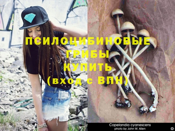 соль курить ск Елизово