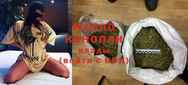 тгк Ельня