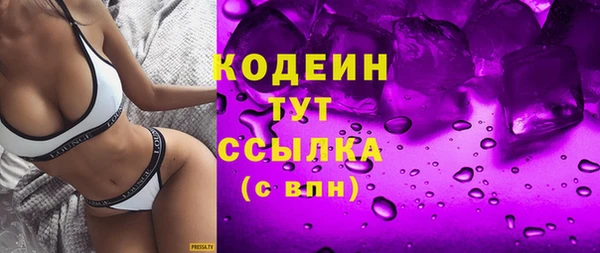 тгк Ельня