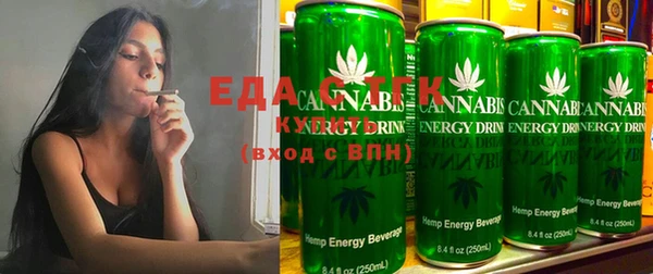 тгк Ельня