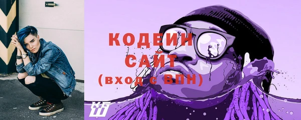 хмурый Елабуга