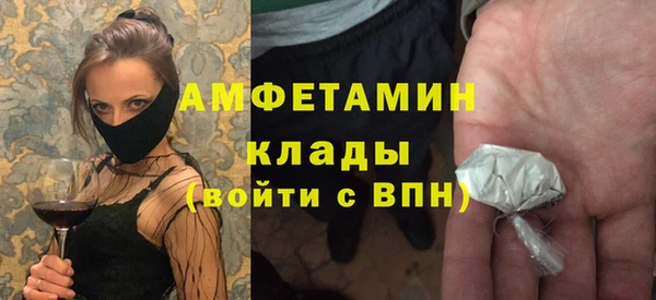 тгк Ельня