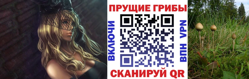 Галлюциногенные грибы мухоморы даркнет сайт Севск